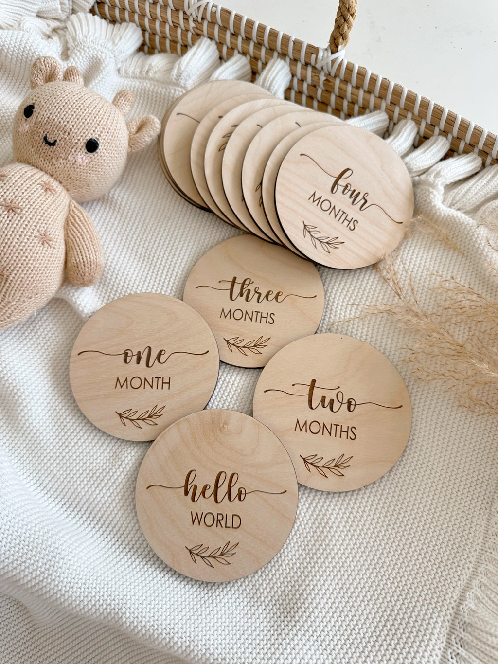 12 Months Monthly Milestone Marker