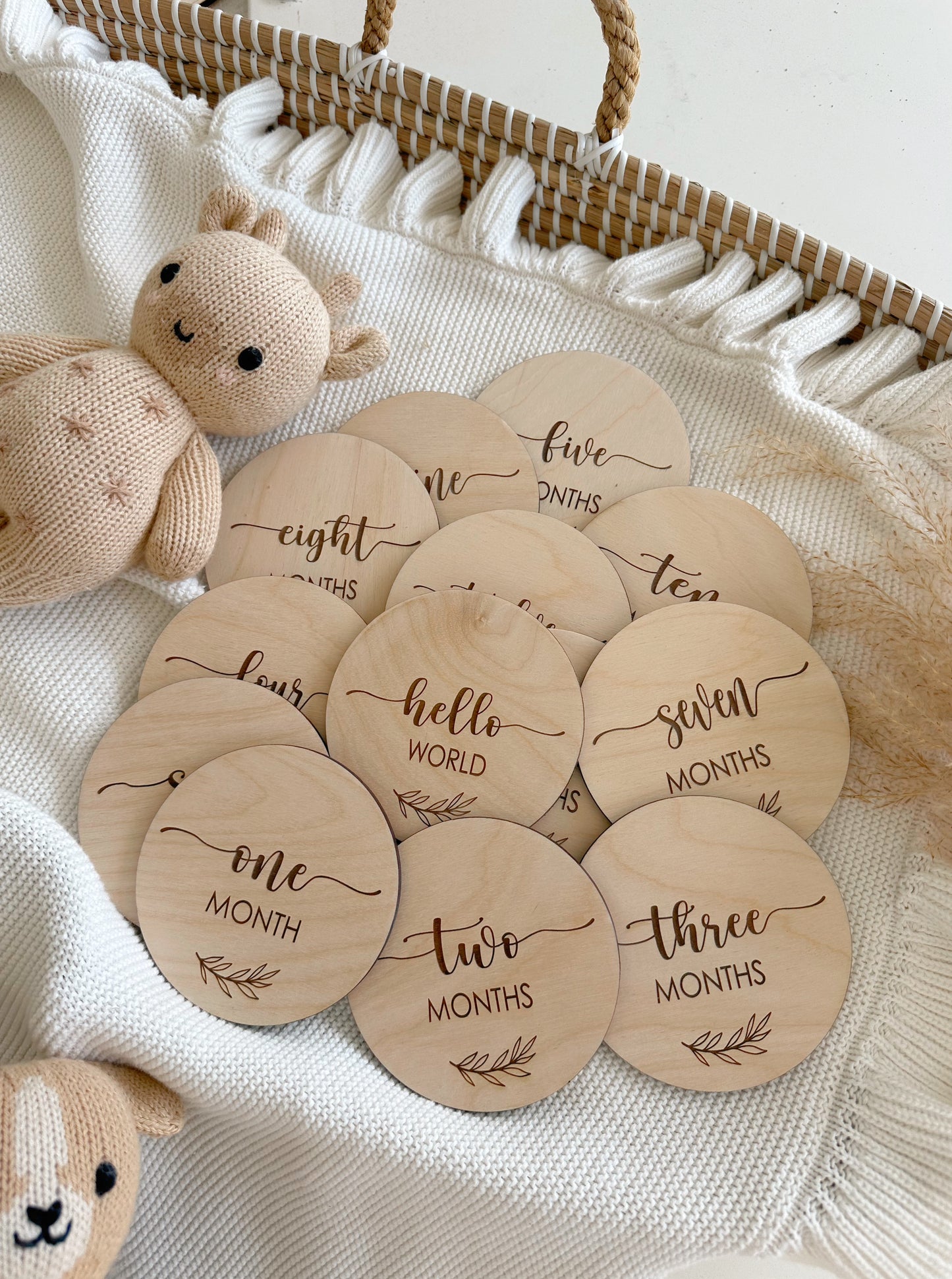 Monthly Milestone Marker | Milestone Card| 1-12 months wooden Milestone Discs | Flower Milestone Disc Marker