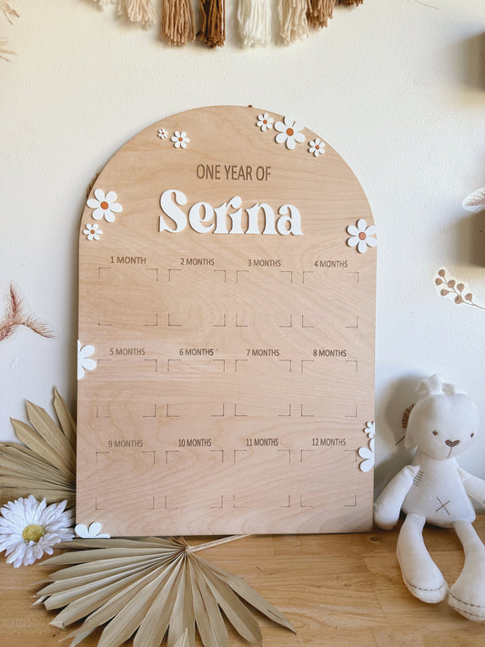 Daisy First Birthday Photo Milestone Board