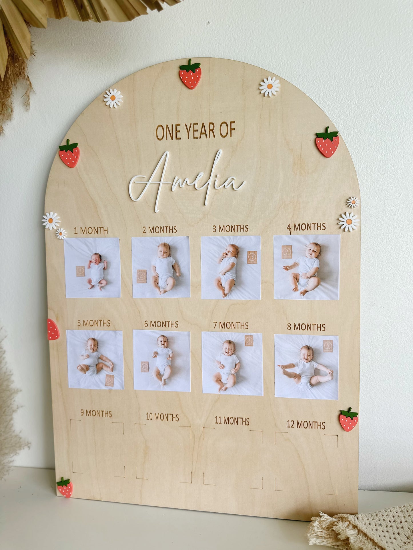 Strawberry First Birthday Photo Milestone Board