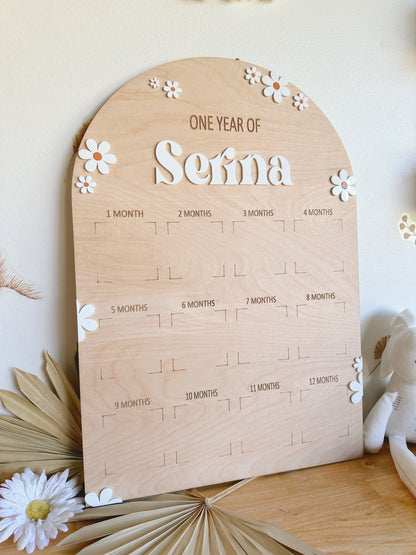 Daisy First Birthday Photo Milestone Board