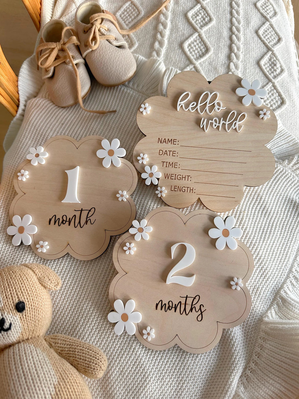 Lily Daisy Hello world